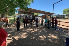 Mounted Patrol Spring Ride